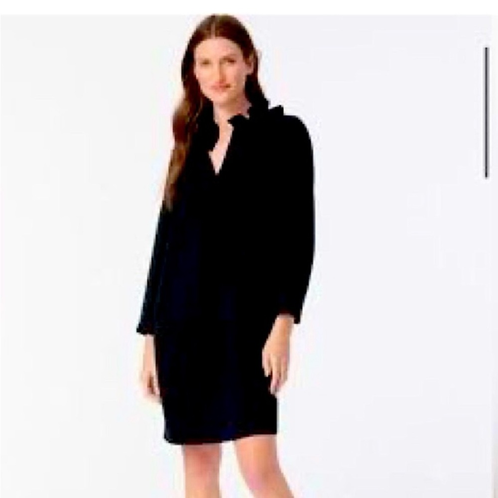NWT J Crew Ruffleneck Shift Dress